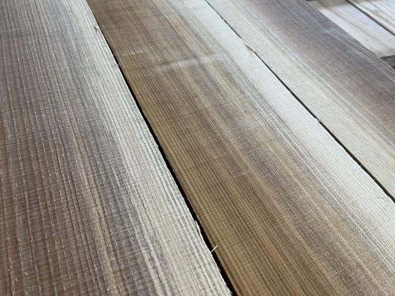 茶色から白色へのグラデーション（ヤチダモ）